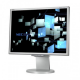 Used Monitor V223HQV TFT 22"